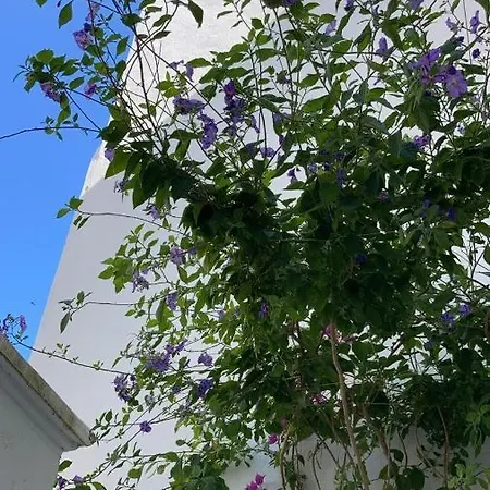 Casa Azul Da Holiday home
